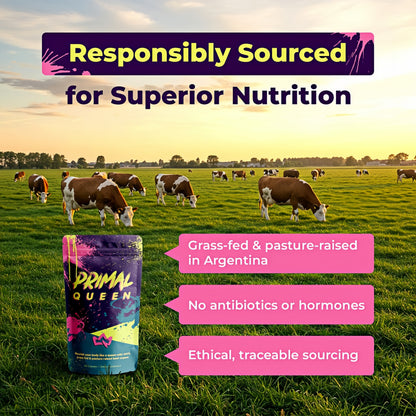 Primal Queen Female-Optimized Beef Organ Superfood Supplement (Beef Liver, Kidney, Heart, & 3 More) - 100% Grass Fed, Pasture Raised Cattle - Balance Hormones, Energy, & More for Women